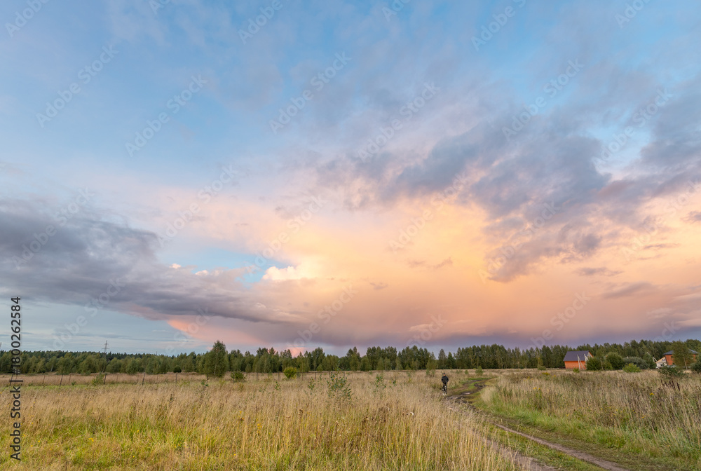 Obraz premium Field of grass with a cloudy sky in the background