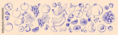 Hand Drawn Watercolor Tropical Fruits – Vector Illustration