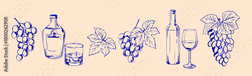 Grapes and Wine Line Art Set – Hand-Drawn Vector Illustrations