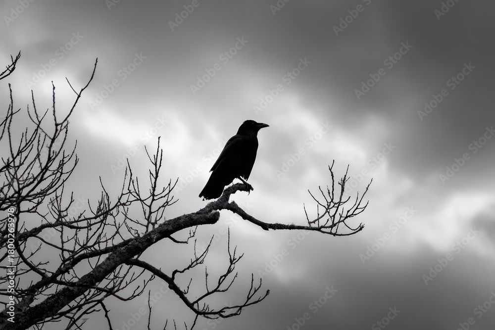Naklejka premium Stark Silhouette of Bird Perched on Lifeless Branch