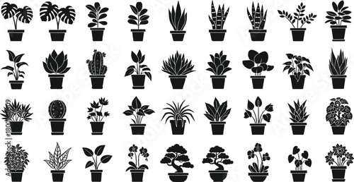 Collection of black silhouette potted houseplants and bonsai trees potted plants