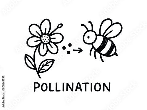 handdrawn cute doodle style pollination symbol vector line illustration