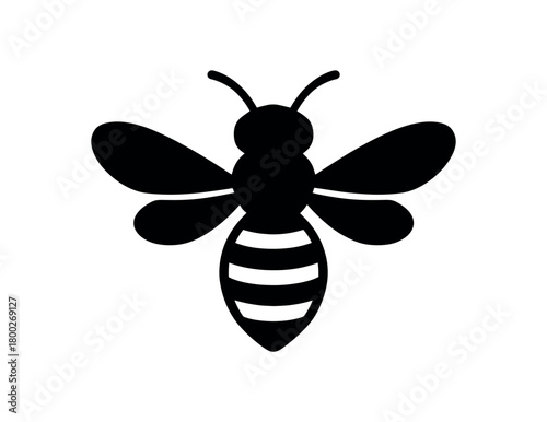 bee wings flat black solid vector illustration isolated on white background