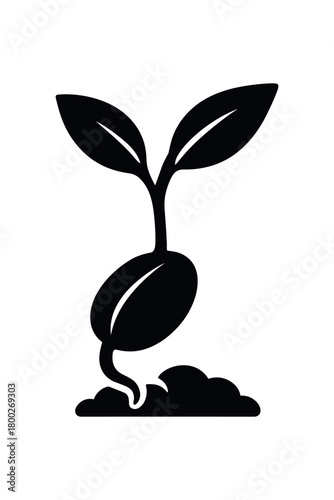 seed sprouting flat black solid vector illustration isolated on white background