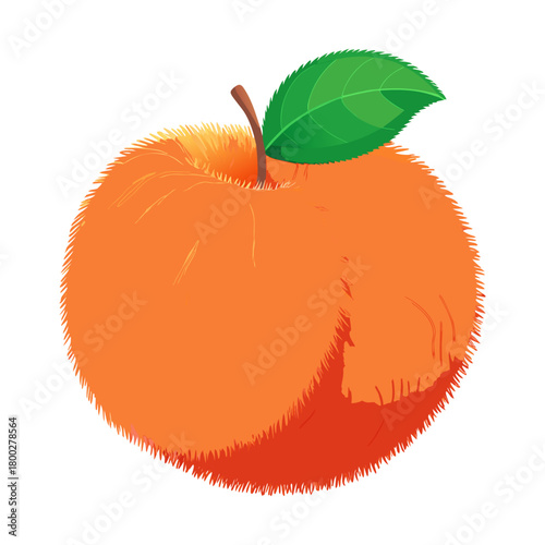 Fuzzy orange fruit illustration with green leaf Vector