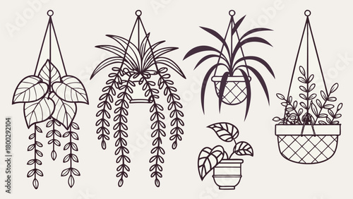 Hanging Plants Line Art Vector, CAD-Style Trailing plant in Pots Symbols for Architecture and Garden Plans