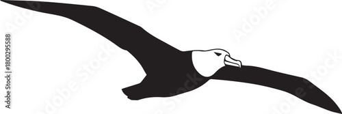 Majestic albatross soaring gracefully through the sky with wide wings spread in silhouette