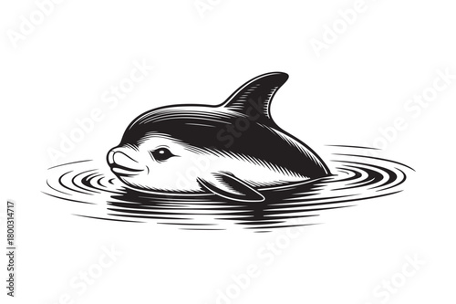 Adorable baby dolphin peeking out of rippling water