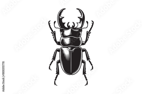 Detailed black and white illustration of a stag beetle
