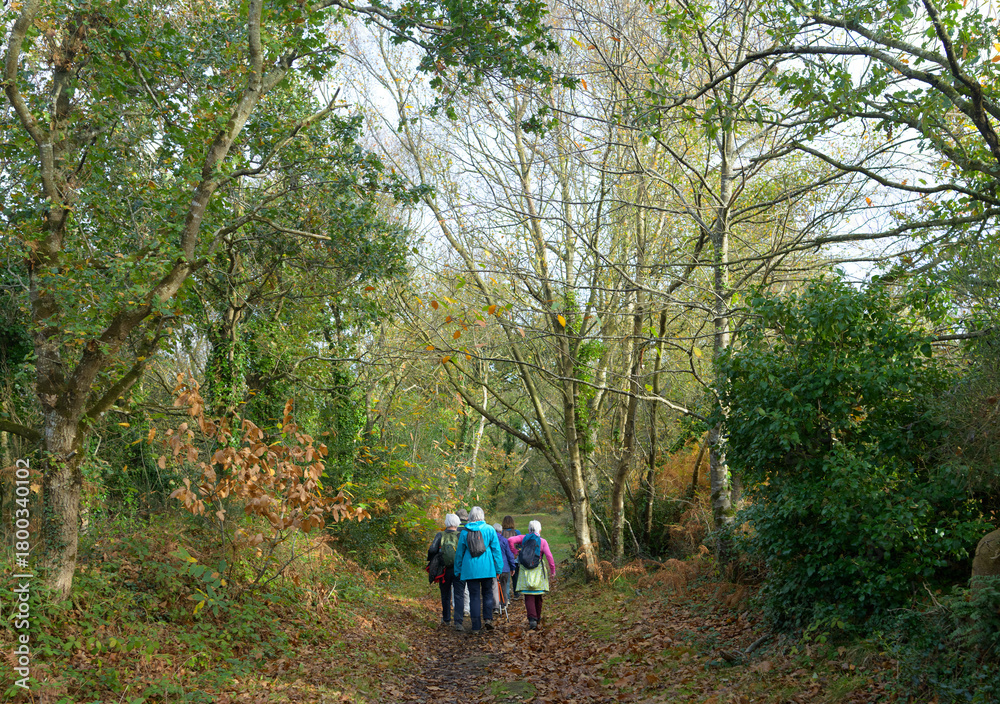 Fototapeta premium Groupe de randonneurs sur le GR34 en Bretagne