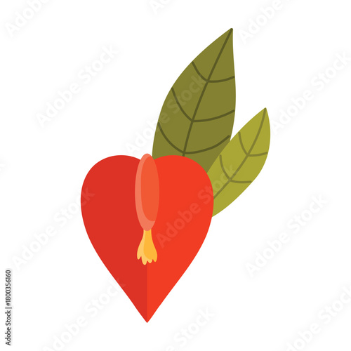 Minimalist isolated illustration of the Argentina national flower with bold red petals and green leaves vector illustration