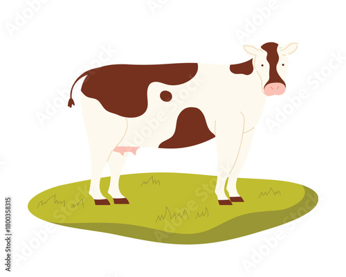 Isolated brown and white Austrian cow standing on green grass for farming and agriculture vector illustration