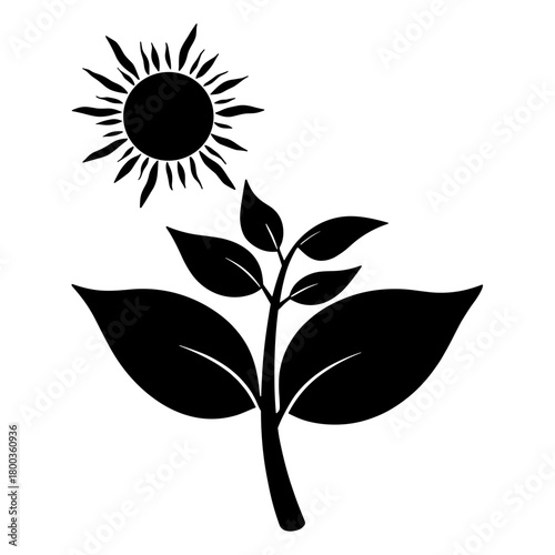 Silhouette of Photosynthesis Process with Sun and Leaf, Biological Science and Nature Concept
