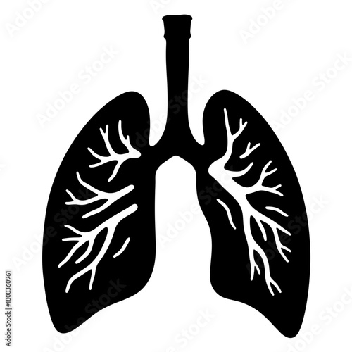 Lung diagram with airways in black and white, respiratory anatomy and biology education