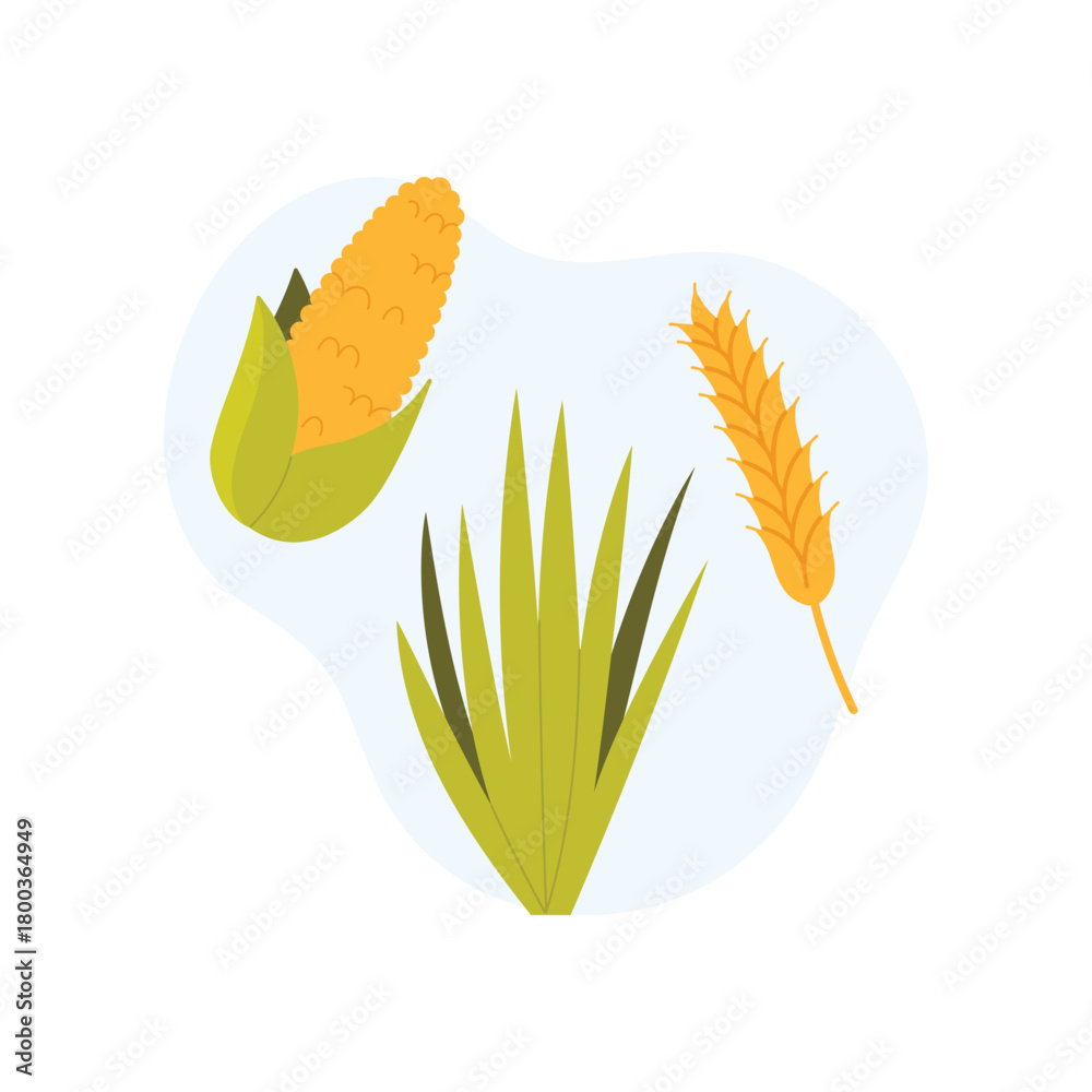 Obraz premium Isolated corn, wheat, and grass used for biogas production on a clean white background vector illustration