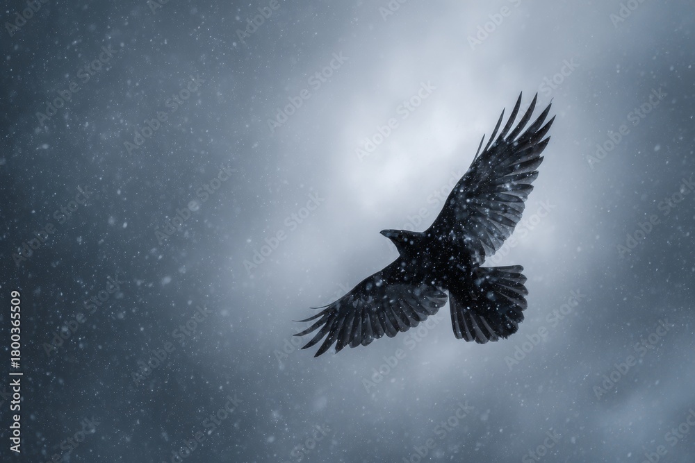 Obraz premium A raven flies gracefully in a snowy landscape under a dark sky. Snowflakes dance around the bird as it navigates through the winter storm, showcasing its powerful wings