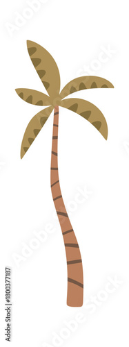 Palm tree of Jurassic period