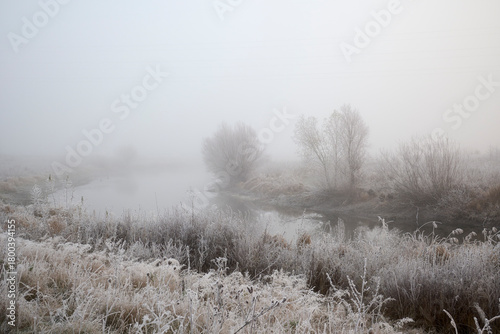 Frosty hoarfrost in the fog.