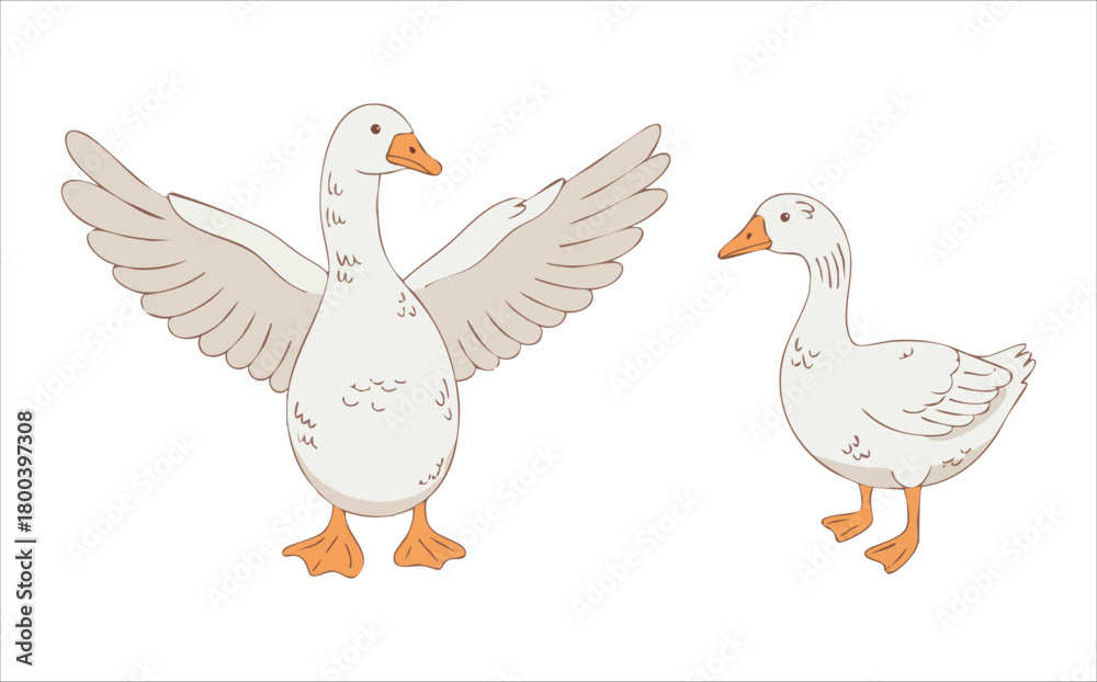 Fototapeta premium adorable geese characters with various poses and expressions vector art isolated on white background