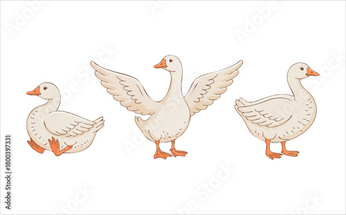 adorable geese characters with various poses and expressions vector art isolated on white background