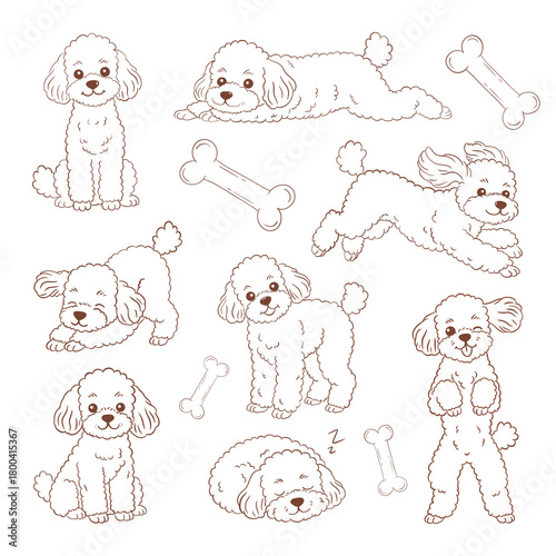 Line art cute toy poodle hand drawn illustration set isolated on transparent background 