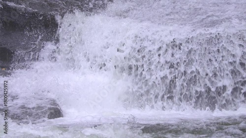 Slow motion of Salmon attempting to jump up waterfalls along Lake Creek in Oregon during fall migration