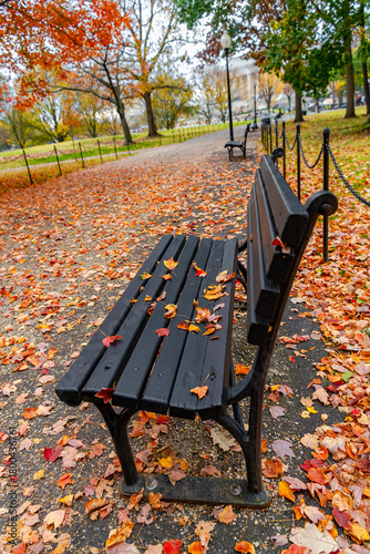 Scenic autumn landscape with pathway and benches in Washington DC