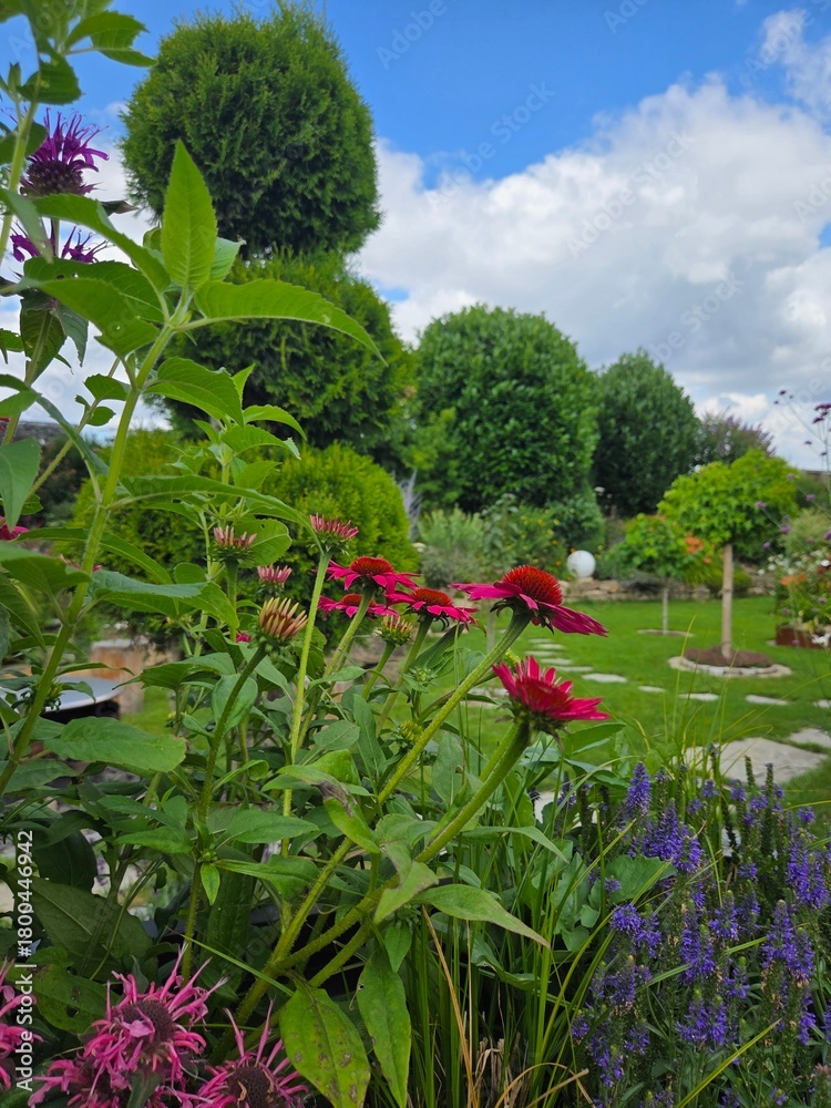 Fototapeta premium Garteneinblick