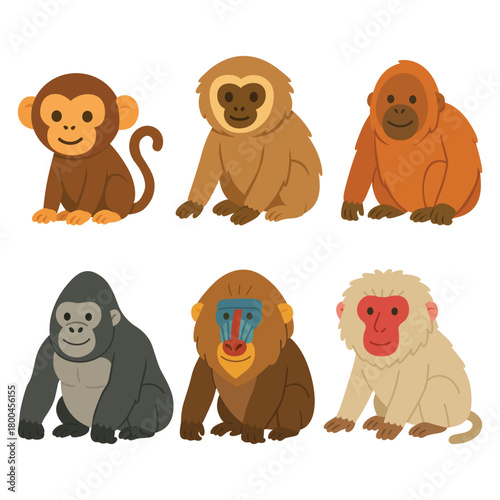 Set of six different primates including monkey, gibbon, orangutan, gorilla, mandrill, and macaque. Flat cartoon vector illustration. Zoo animals and wildlife concept. Design for sticker, greeting card