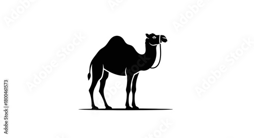 A striking black and white illustration of a camel standing majestically against a clean backdrop