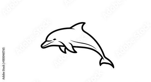 Elegant Black and White Dolphin Illustration A Graceful Marine Mammal on White Background