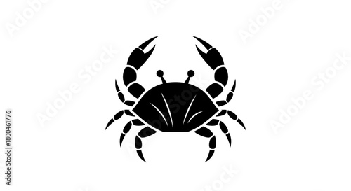 Monochrome graphic icon of an Australian koala, a minimalist wildlife logo design representing nature and conservation