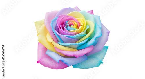 A vibrant rainbow-colored rose, symbolizing love, beauty, and diversity, isolated on a white background