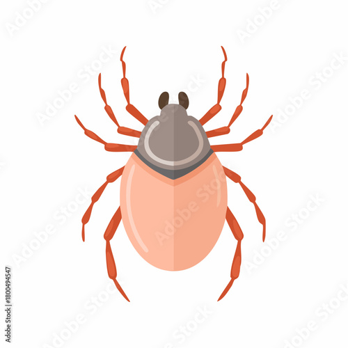 Cartoon vector tick illustration with engorged peach abdomen and reddish-brown legs.