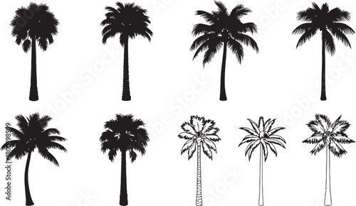 Collection of silhouette palm trees in various styles and sizes