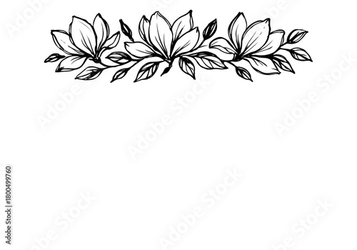 Magnolia blossom hand drawn simple sketch vector illustration