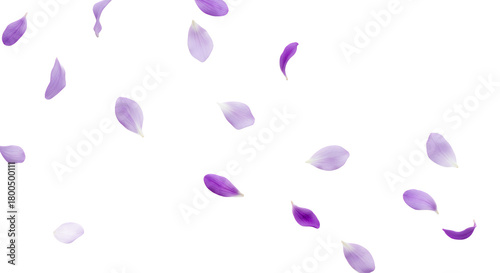 Delicate purple petals gently float in a serene, airy composition against a clean white background, evoking a sense of calm and renewal