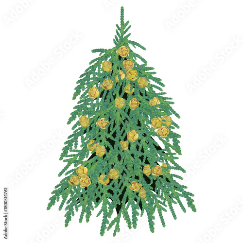 Christmas tree made of thuja branches with cones on a white background 