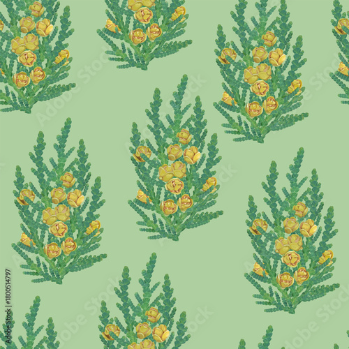 Seamless pattern with thuja branches and cones on a green background 