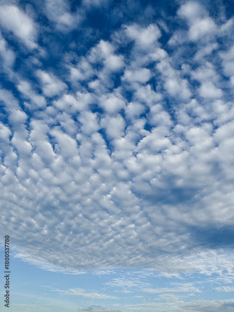 Fototapeta premium Rippling Altocumulus Clouds in Blue Sky