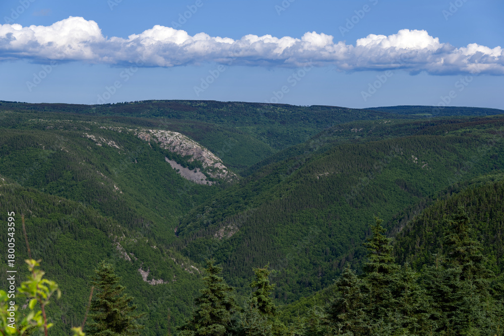 Fototapeta premium Nova Scotia - Cape Breton Highlands National Park