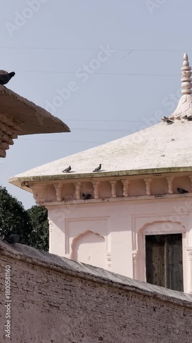 pigeons on roof of a palace