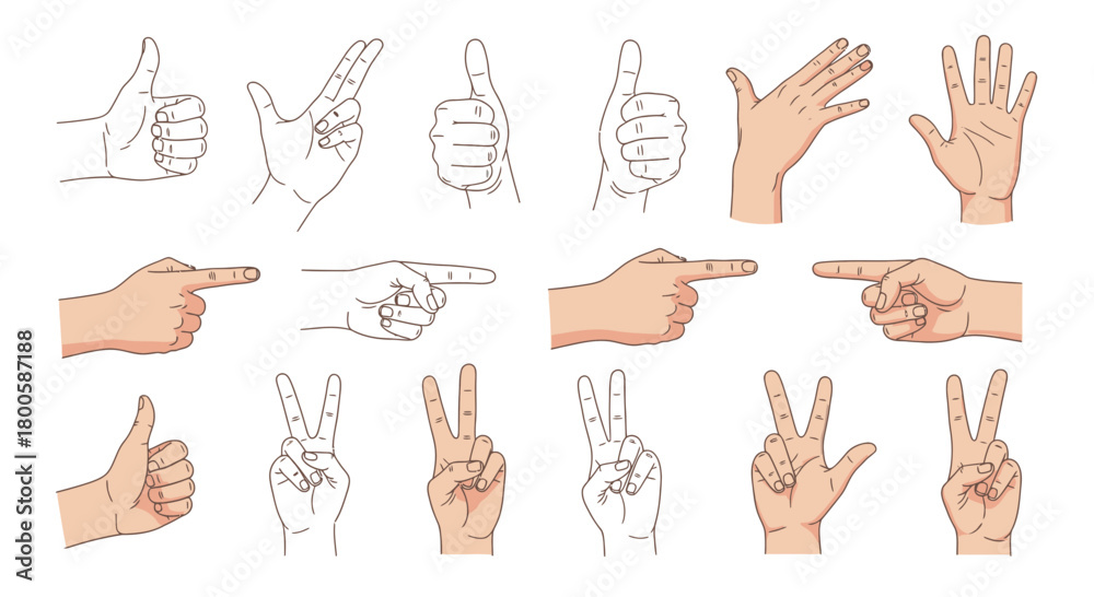 Fototapeta premium Illustrative hand gestures: thumbs up, peace sign, pointing, and open palm signals positivity, direction, and communication, ideal for designs and educational use
