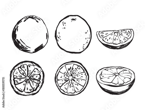 Handcrafted black and white citrus segment and rind artwork