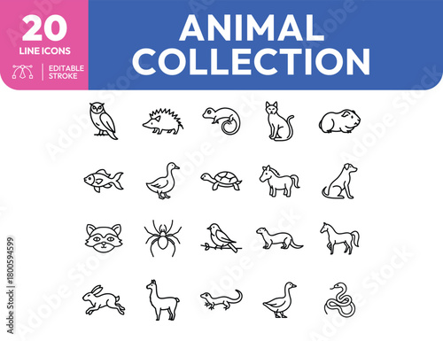 Line Art Animal Collection Owl Hedgehog Lizard Cat Guinea Pig and More