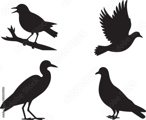 Four black bird silhouettes on white background one perched on branch flying standing