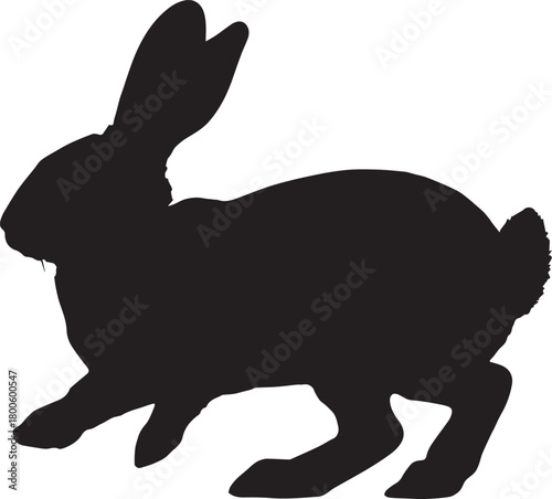 Silhouette of a rabbit isolated on