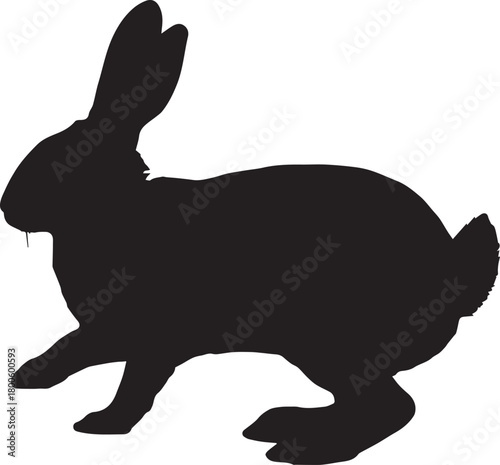 Silhouette of a rabbit isolated on