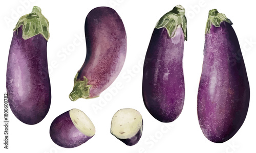 水彩で描いた紫が鮮やかな茄子のイラスト