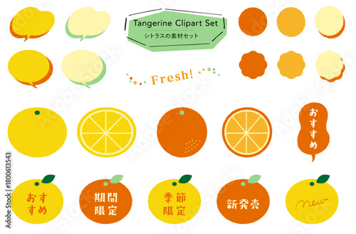 柑橘の素材セット_あしらい＋イラスト,フレーバー,期間限定,季節限定,おすすめテキスト付き｜Citrus Illustration Set – Ornaments, Flavor Icons, Limited-Time Seasonal Text